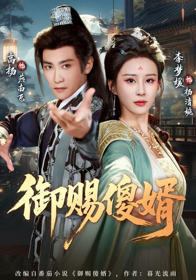 御赐傻婿海报